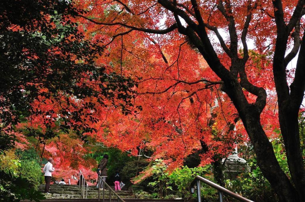 Hotel Eclair Hakata Fukuoka  Dış mekan fotoğraf